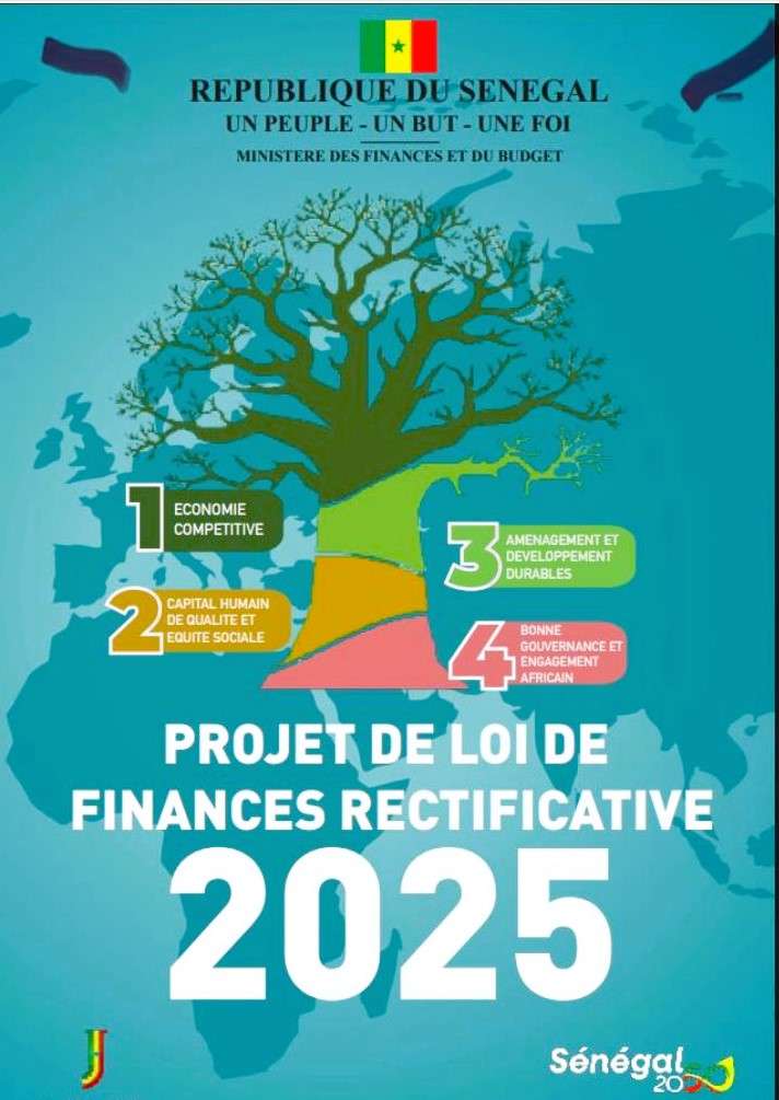Loi de Finances Rectificative (LFR) 2025 