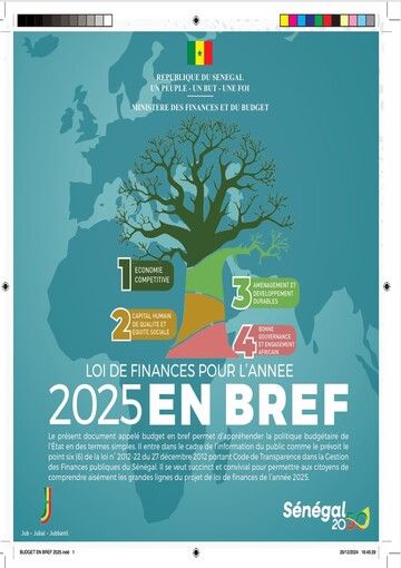 Loi de Finances pour l’année 2025 en BREF